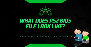 What Does PS2 BIOS File Look Like?